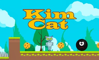 Image Kim Cat