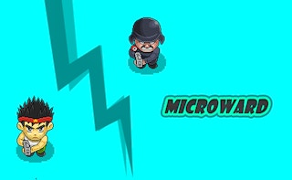 Image MicroWard